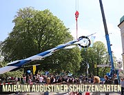 Maibaum aufstellen am 01.05.2025 im Augustiner Schützengarten in München-Obersendling (©Foto. Martin Schmitz)